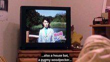 ...Ju-On ...3 ...(2002) ...ENG ...SUB ...Watch ...HD [Full Movie] [Free Online HD]Full EP - Full