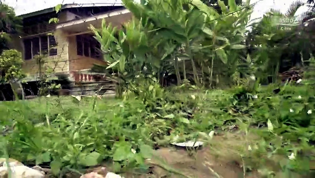 SekolahApi|2017