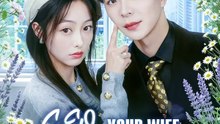 CEO Your Wife Is a Real Boss