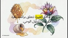 إرث_السيدة_عائشة_الخالد
