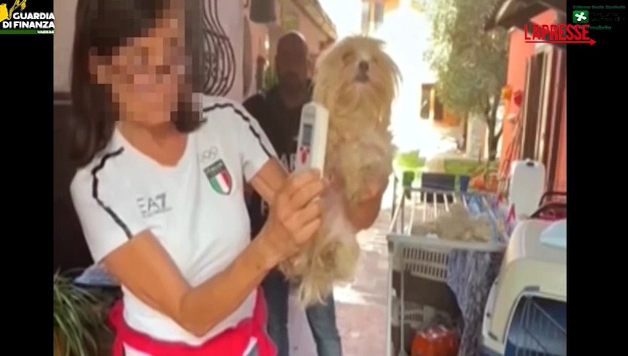 Varese, scoperto allevamento abusivo di cani: le immagini dei cuccioli nella gabbia