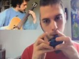 Zelda Wind Waker: Dragon Island, self duet (guitar ocarina)