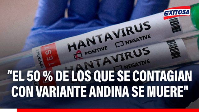 Alerta por brote de Hantavirus: EL 50% de los que se contagian con variante andina se muere