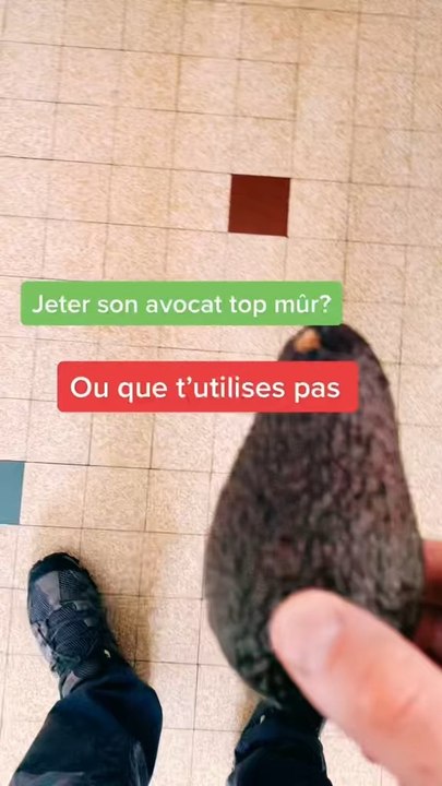 Avocat !