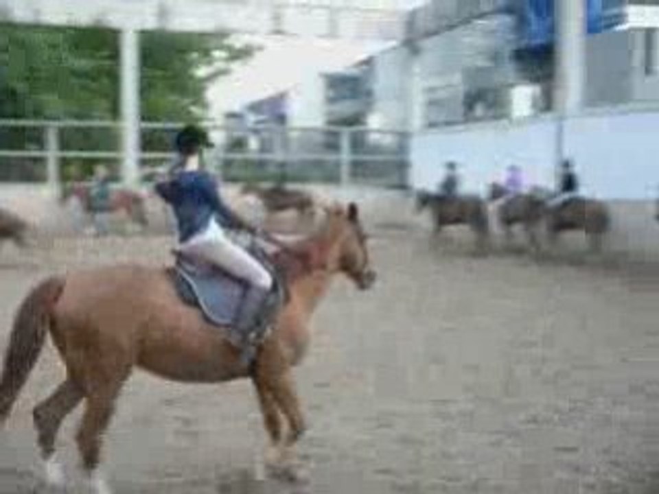 galop elo, theo et aurel
