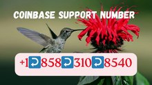 [PAGE-UP] Coinbase® WALLET SUPPORT© SUPPoRT℗ Phone NuMber (OfficiAl)