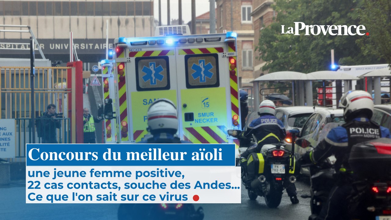 Hantavirus en France : une jeune femme positive, souche des Andes, ce que l'on sait sur ce virus