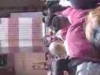 Mariage algerien ( etoils oran de toulouse) 0626951050