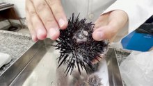 Microplastics Reach Even the Cleanest Ocean Areas, Biologists Alarmed