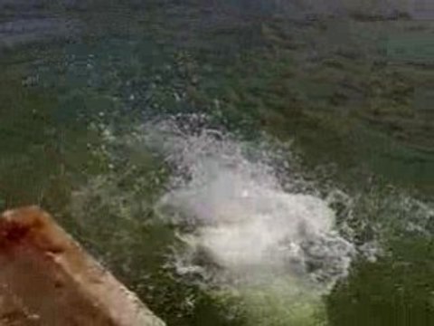 Lékipe de nimes au grau du roi 5