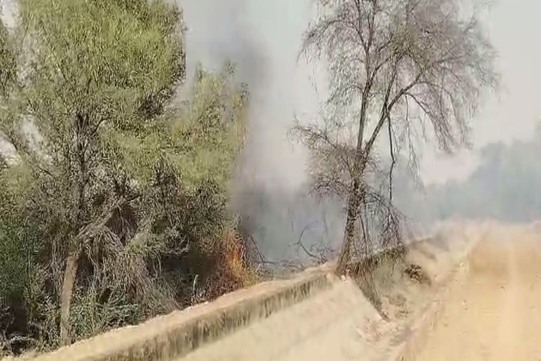 Video: मोहनगढ़ नहरी क्षेत्र में भीषण आग, वन पट्टी में मची अफरा-तफरी