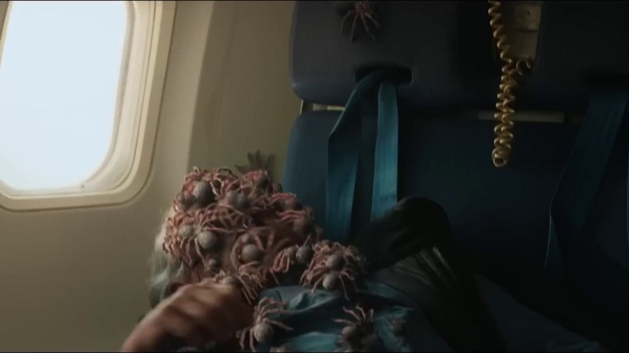 Spiders On A Plane Trailer OV
