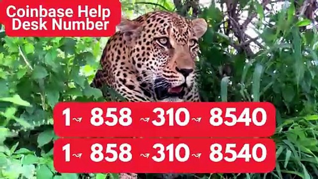 T0ppER Complete™ List of CoinbaseⓃ CUSTOMER© Care℗ (Toll Free Number Support) Numbers A Complete Guide