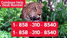 {{Homes}}™ {[List]} of Coinbase® CUSTOMER© SERVICE℗ Contact Numbers —24/7 Live Person Assistance GUide