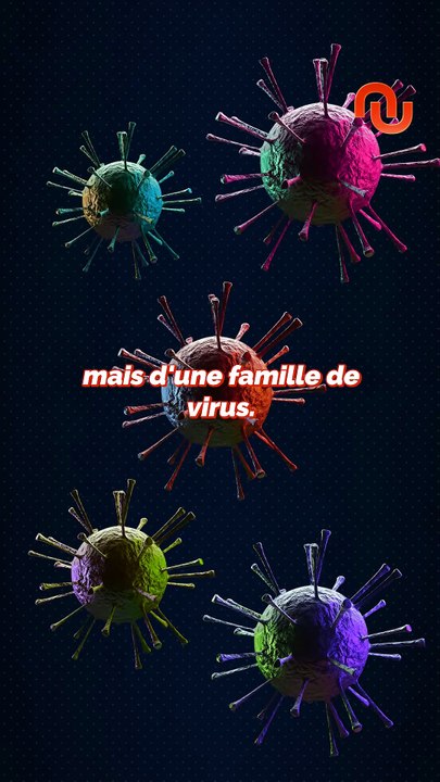 Ce virus ne vient pas d'un bateau de croisière