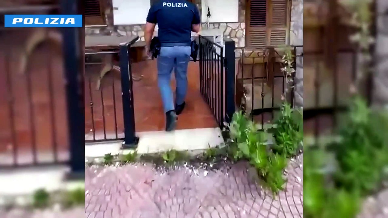Il video della piantagione di droga scoperta a Villagrazia di Carini