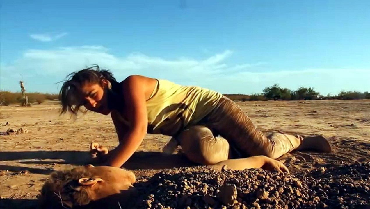 The Wayward Sun | movie | 2013 | Official Trailer