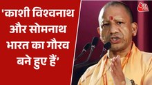 'जिन्होंने सनातन को मिटाने का प्रयास किया, वो आज मिट्टी में मिल चुके हैं', बोले सीएम योगी
