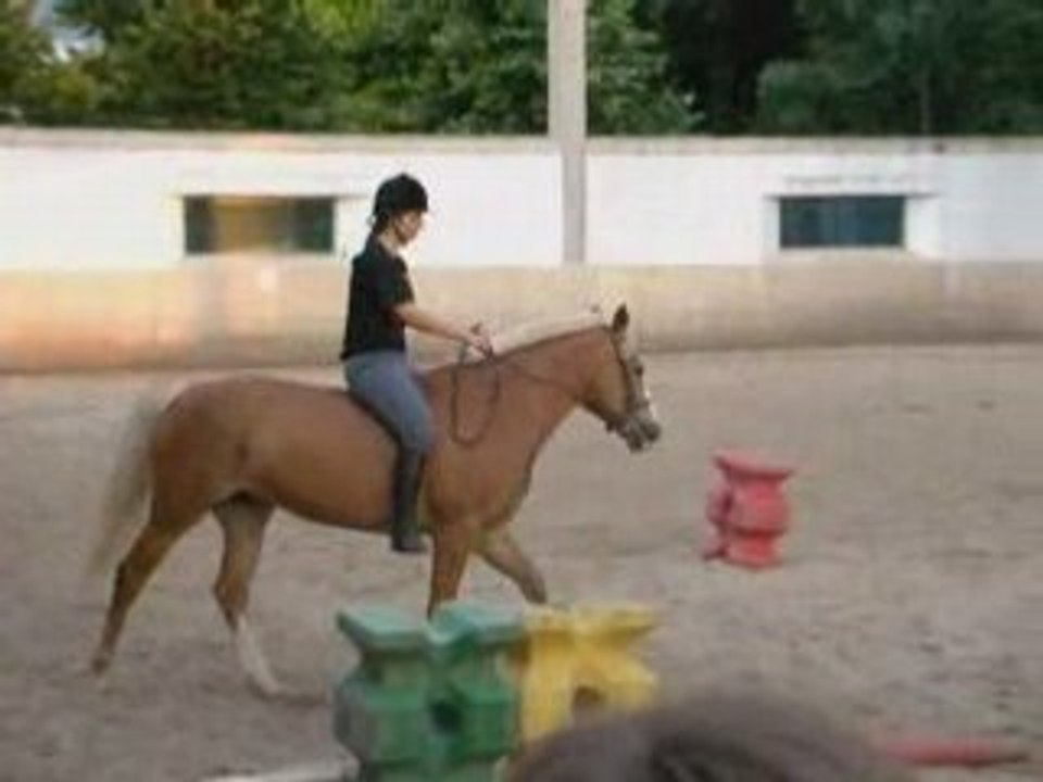 galop equit
