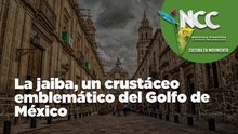 La jaiba, un crustáceo emblemático del Golfo de México