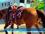 Sport7 du 11 mai 2026