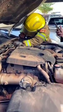 Bomberos rescatan una boa constrictora