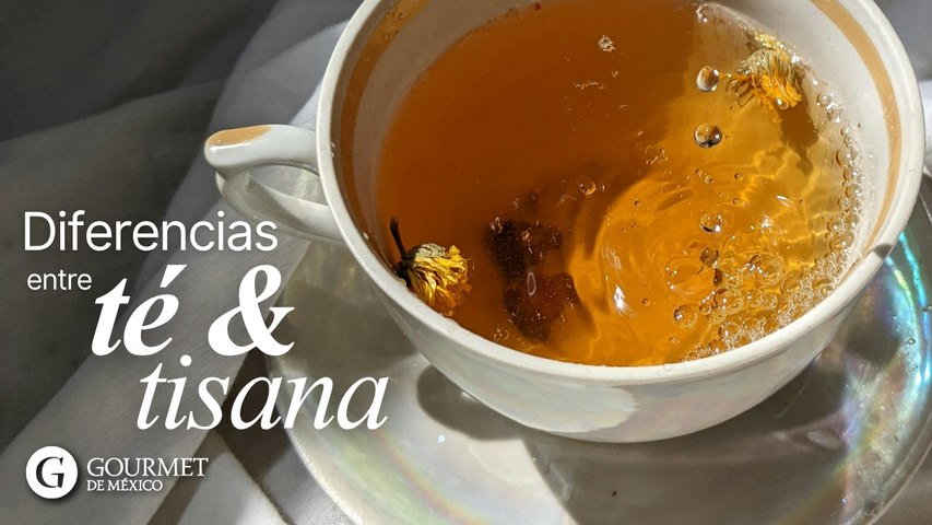 Diferencias entre té y tisana