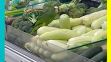 Clientes quedan sorprendidos al ver a un loro en supermercado de Cozumel
