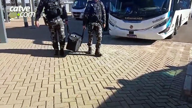 Cargas de cigarros e celular são apreendidas em ônibus em Cascavel