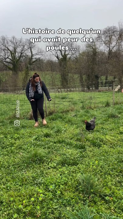 @elo.lavie partage son incroyable histoire sur sa relation avec les poules !