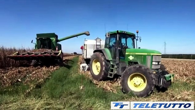 Video News - Agricoltura: +10,6% la produzione nel 2025