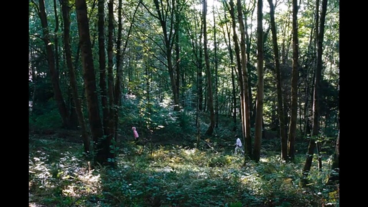 La Danse des renards Bande-annonce (EN)