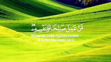 القران كريم