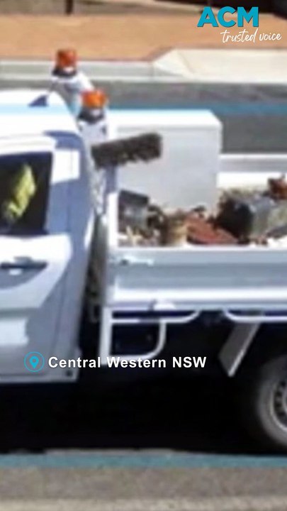 Body found in search for NSW’s most wanted man