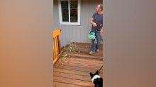 Ultimate Fails