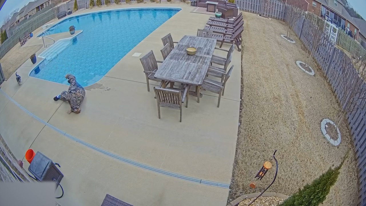 Certified Fails