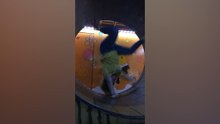 Full Send Fails