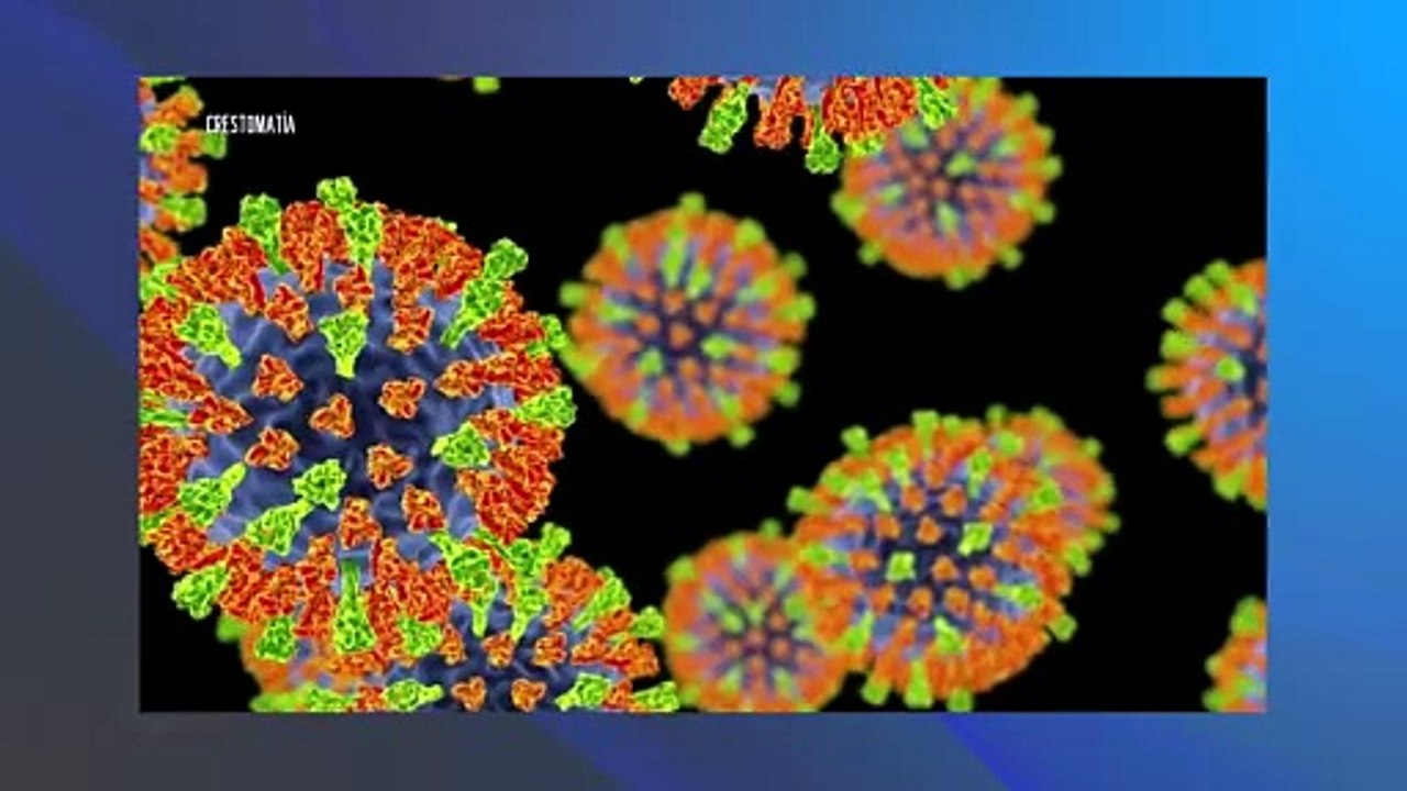 Brote de sarampión en Bahía de Banderas | CPS Noticias Puerto Vallarta