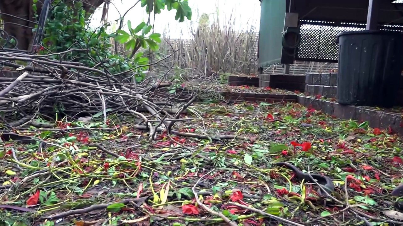 Residents in WA’s north assess the damage of Tropical Cyclone Mitchell