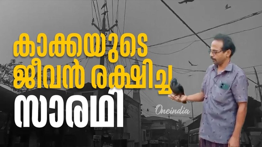 നിശ്ചലമായ ഹൃദയം വീണ്ടും തുടിച്ചു! കാക്കയ്ക്ക് CPR നൽകി രക്ഷിച്ചു| Real Hero!