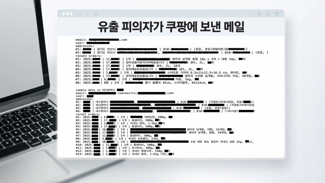 쿠팡 협박 메일 공개...휴대폰, 주문 정보 빼곡 [앵커리포트] / YTN