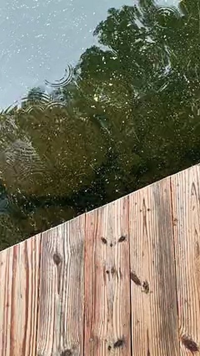 2499611-sd_240_426_30fps.mp4