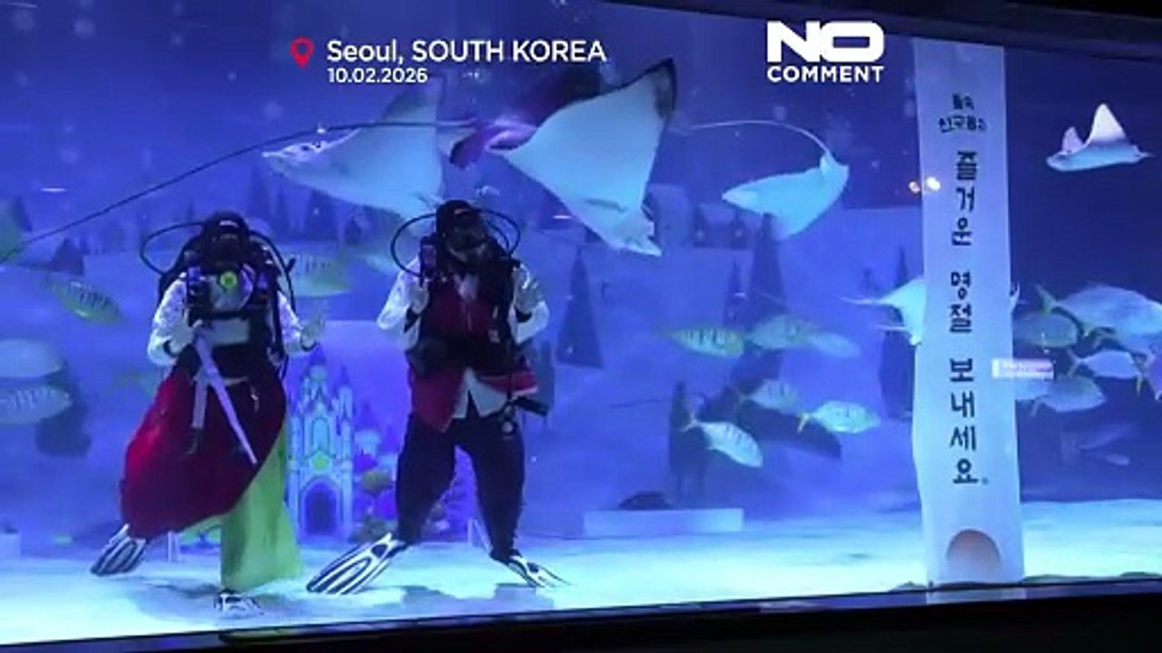 Taucher in Seoul feiern Mondneujahr mit Unterwasser-Show