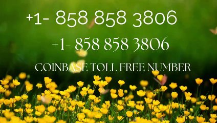 Coinb𝓪se℗ helpLine® support Contact Numbe𝖗s by taxow.ssh43 - Dailymotion