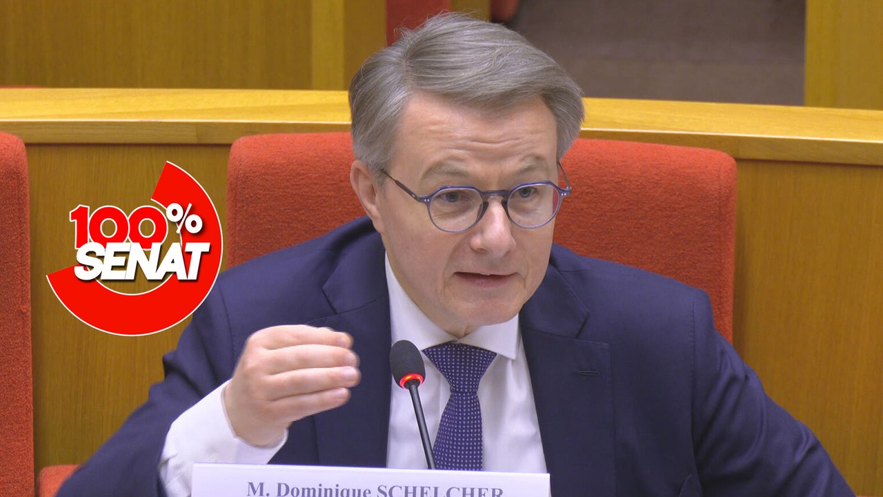 100% Sénat - Marges de la grande distribution : audition d’Auchan Retail et de Coopérative U