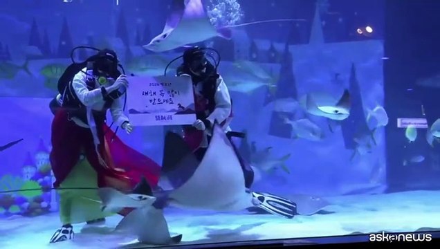 Subacquei in abiti tradizionali coreani per il Capodanno lunare