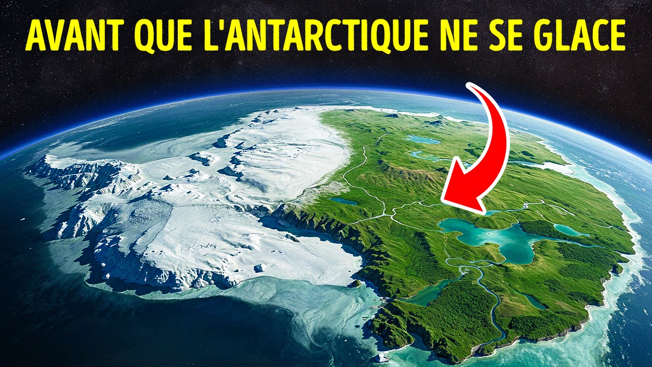 Des chercheurs ont découvert une forêt tropicale disparue enfouie sous l'Antarctique