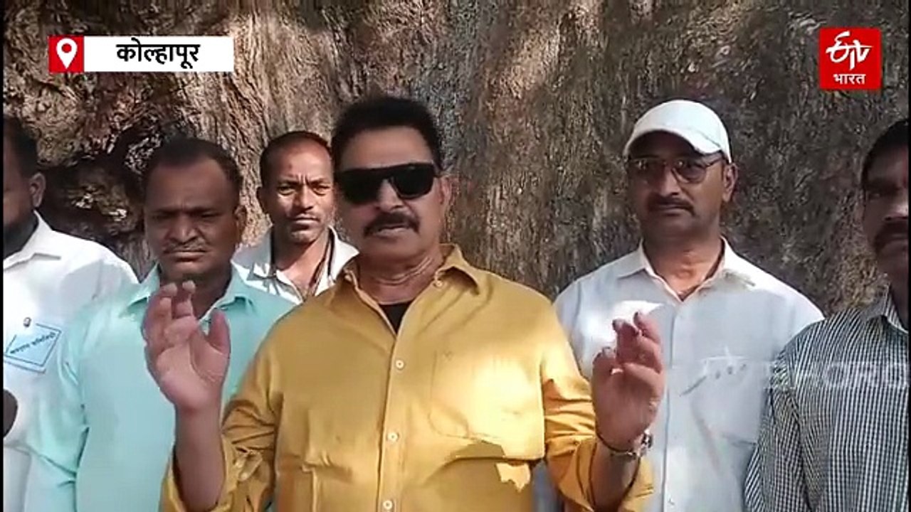 कोल्हापूर : 600 वर्षांचं 'बेहडोबा' झाड बनलं गावची ओळख, अभिनेते सयाजी शिंदे यांनी केलं वृक्षाचं बारसं