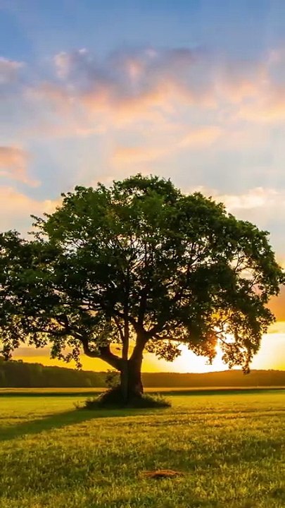 Reconnect & Relax Unforgettable Weekend Getaways for Couples