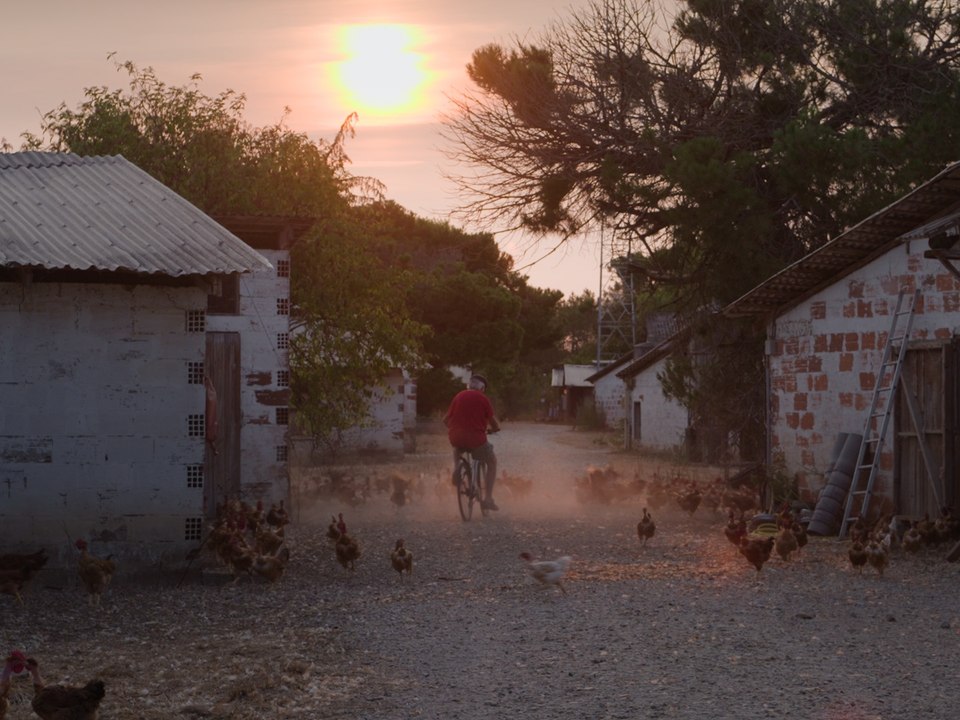 Elever au grain: Trailer HD